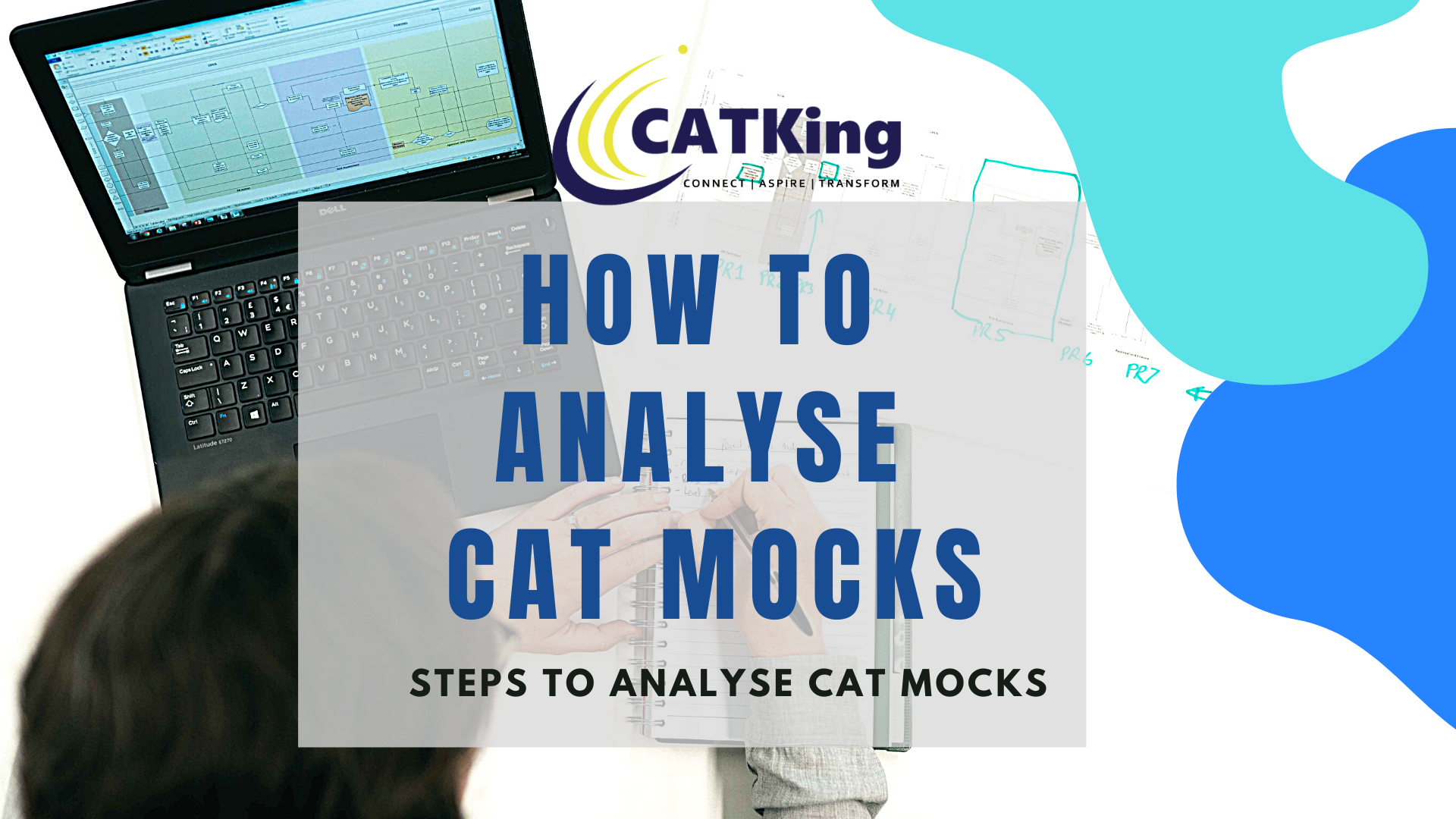catking how to analyse cat mocks